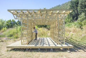 Our seeds are life: The recovery of a community space through the construction of a vertical garden in Concepción, Chile