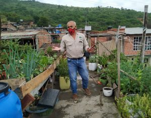 Returning to green: From Guabinitas Creek reforestation to home gardening