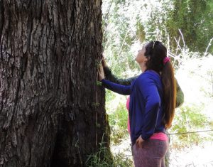 Forest therapy: Caring for youth and nature